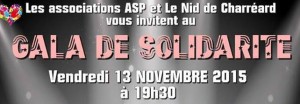Bannière_ASP gala de solidarité