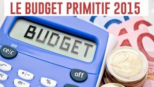 Budget