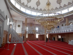 DSCN1779