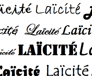 Laicite-