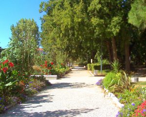 Parc Louis Dupic - Vénissieux