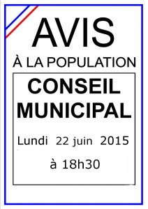 affiche_conseil_municipal_22_06_2014