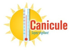 canicule
