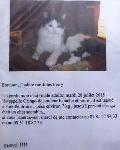chatperdu