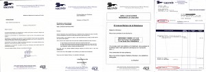 echéancierpunaises3