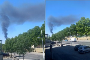 flammefeyzin