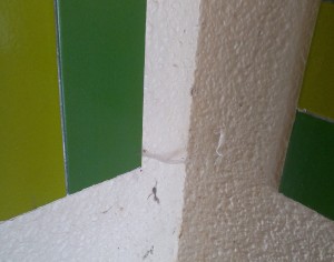 toile araignée 1