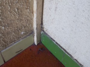 toile araignée 2