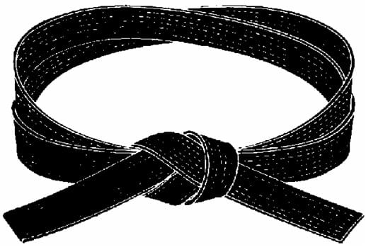 ceinture noire